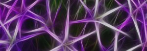 Neurones