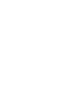 Partenaire officiel Mailchimp