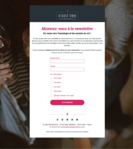 landing page Mailchimp
