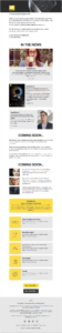Newsletter Mailchimp - Nikon Lenswear